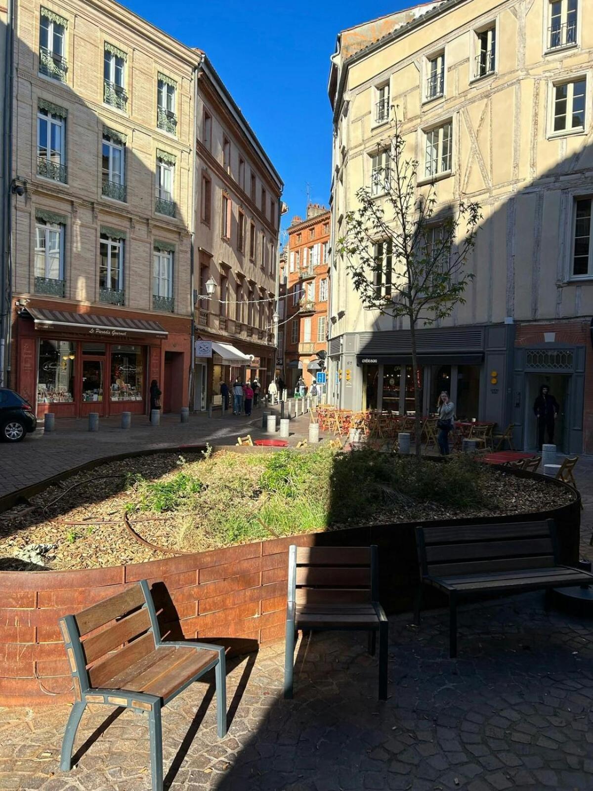 T1Bis-Cosy-Place Salengro-Metro Toulouse Bagian luar foto